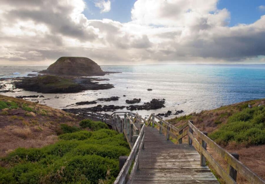 From Melbourne: Penguin Parade, Koalas & Kangaroos - The Practicalities: What’s Included and What to Consider