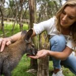From Melbourne: Penguins and Wildlife Nature Day Tour - Exploring the Itinerary: What to Expect