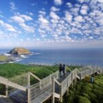 From Melbourne: Phillip Island Penguin Parade Eco Tour - An Overview of the Itinerary