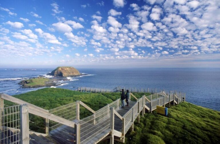 From Melbourne: Phillip Island Penguin Parade Eco Tour - An Overview of the Itinerary