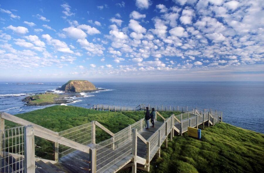 From Melbourne: Phillip Island Penguin Parade Eco Tour - An Overview of the Itinerary