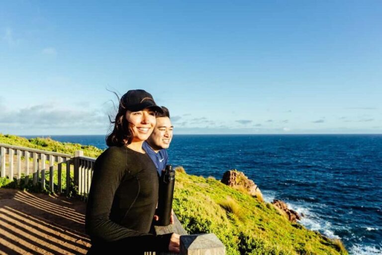 From Melbourne: Phillip Island Penguin Parade Express Tour - The Main Event: The Penguin Parade
