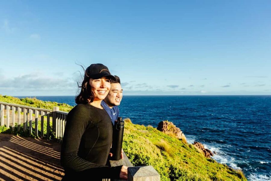 From Melbourne: Phillip Island Penguin Parade Express Tour - The Main Event: The Penguin Parade