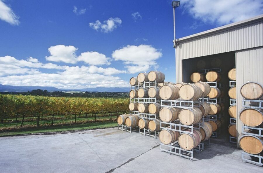 From Melbourne: Private Yarra Valley Winery Tour with Lunch - Exploring the Yarra Valley Winery Tour in Detail