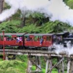 From Melbourne: Puffing Billy and Penguin Parade Combo Tour - Conclusions: Is This Tour Right for You?