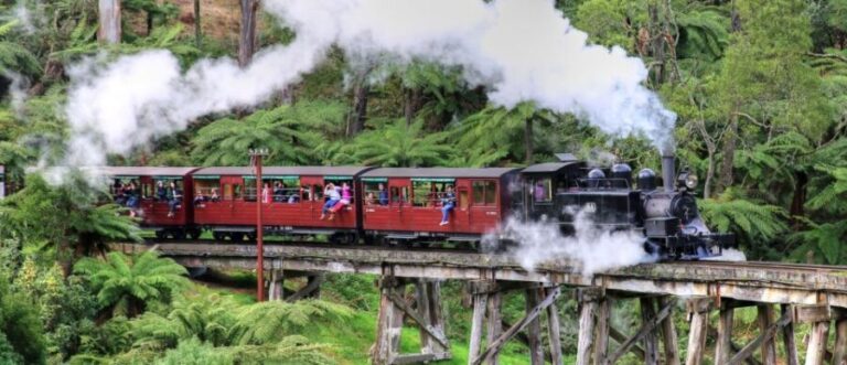 From Melbourne: Puffing Billy and Penguin Parade Combo Tour - Conclusions: Is This Tour Right for You?