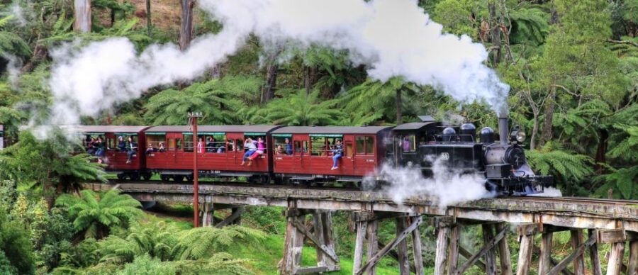 From Melbourne: Puffing Billy and Penguin Parade Combo Tour - Conclusions: Is This Tour Right for You?