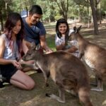 From Melbourne: Puffing Billy Steam Train & Wildlife Tour - What to Expect from the Tour