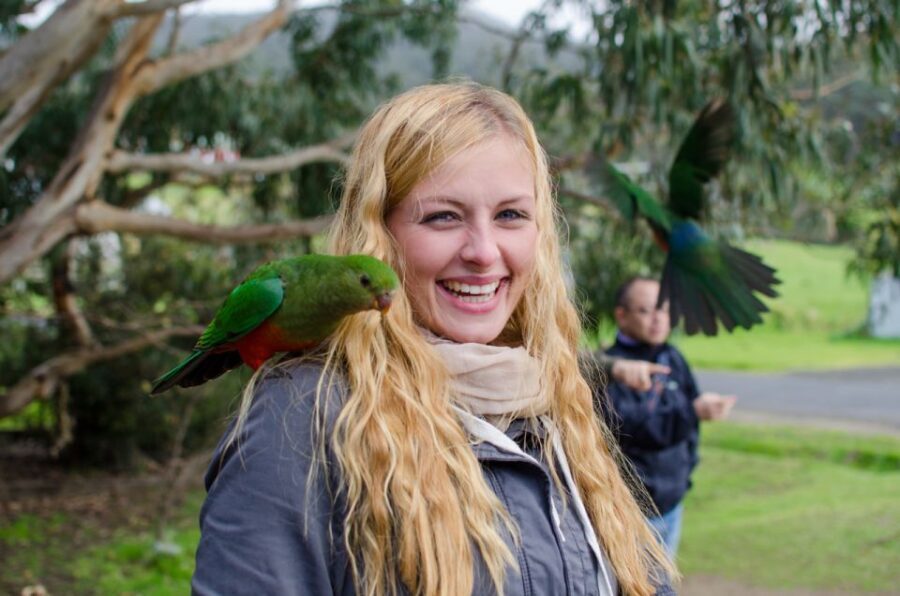 From Melbourne: Reverse Great Ocean Road Day Trip with Lunch - Why This Tour Offers Great Value