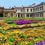 From Melbourne: Werribee Open Range Zoo & Werribee Mansion - Who Would Love This Tour?