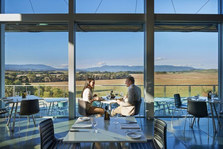 From Melbourne: Yarra Valley Wildlife & Wine Day Tour - What to Expect: Practical Details
