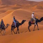 From Merzouga: Sunset Camel Ride & Sandboarding - What’s Included & What’s Not
