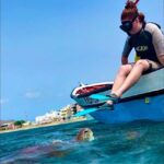 From Mindelo: Snorkel and Swim with Sea Turtles - Final Thoughts