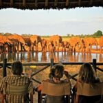 From Mombasa/Diani/Mtwapa: Tsavo East National Park Day Tour - Who Would Love This Tour?