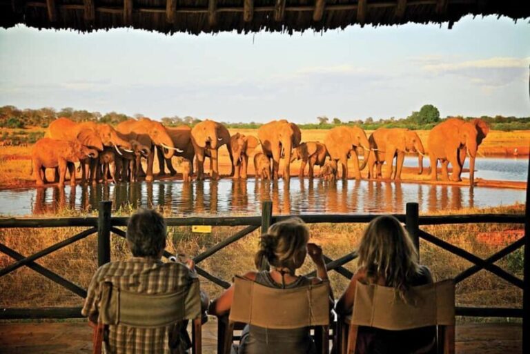From Mombasa/Diani/Mtwapa: Tsavo East National Park Day Tour - Who Would Love This Tour?