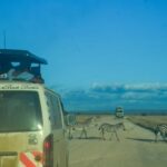 From Mombasa/Diani:5-Day Safari-Taita Hills, Amboseli, and - What Makes This Tour Stand Out?