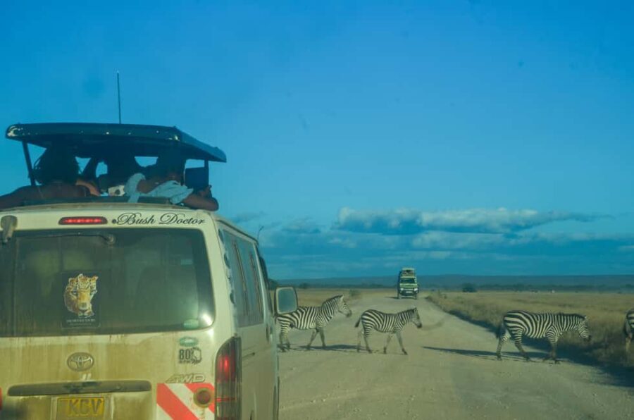 From Mombasa/Diani:5-Day Safari-Taita Hills, Amboseli, and - What Makes This Tour Stand Out?