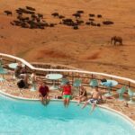 From Mombasa:3-Day Tsavo West National Park Safari-Ngulia - Who Will Love This Tour?