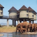 From Mombasa:5 Days Tsavo East,West and Saltlick Lodge safar - Transportation and Accommodation