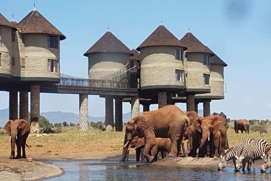 From Mombasa:5 Days Tsavo East,West and Saltlick Lodge safar - Transportation and Accommodation