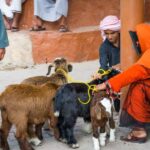 From Muscat: 3-Days Nizwa, Desert, Turtle, Wadi Shab - Practical Details and Overall Value