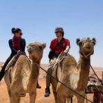 From Muscat: Desert and Wadi Bani Khalid Oasis Full-Day Tour - Who Is This Tour For?