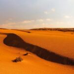 From Muscat: Full Day to Wahiba Sands and Wadi Bani Khalid - Authentic Experiences and Honest Insights