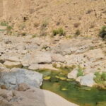 From Muscat: Wadi Al Arbieen Adventure, Sinkhole, Fins Beach - What to Expect During the Day