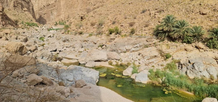 From Muscat: Wadi Al Arbieen Adventure, Sinkhole, Fins Beach - What to Expect During the Day