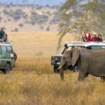 From Nairobi: 10 Days Classic Kenya and Tanzania on 4x4 Jeep - What’s Included & What to Consider