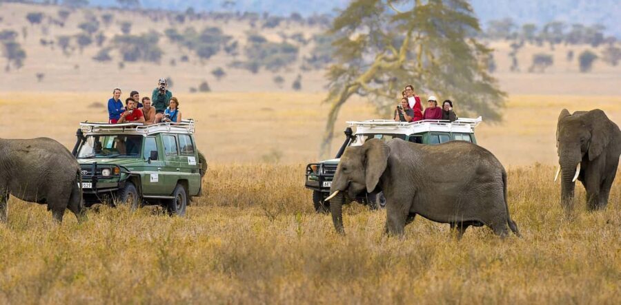 From Nairobi: 10 Days Classic Kenya and Tanzania on 4x4 Jeep - What’s Included & What to Consider
