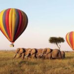 From Nairobi: 12 Days Small Group Kenya and Tanzania Safari - What Sets This Tour Apart