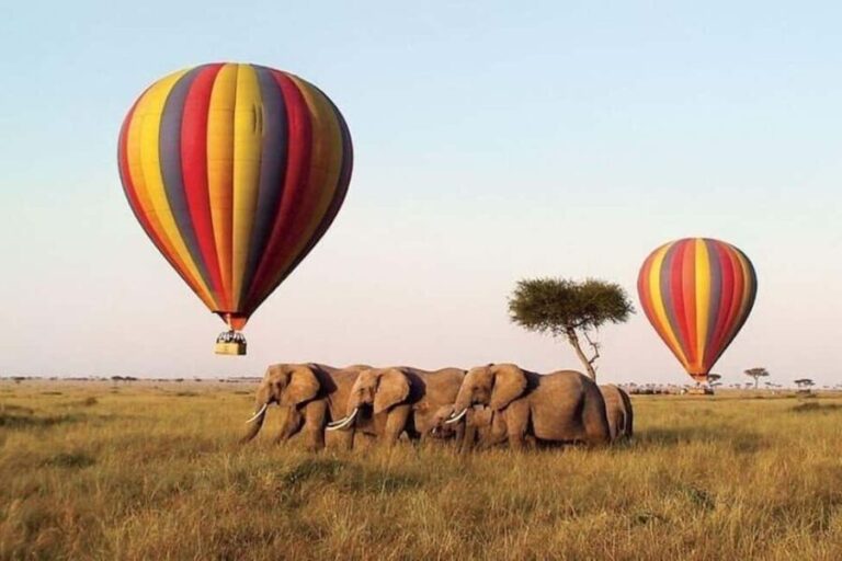 From Nairobi: 12 Days Small Group Kenya and Tanzania Safari - What Sets This Tour Apart