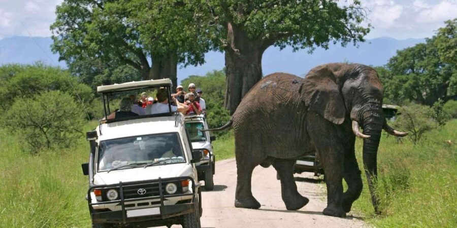 From Nairobi: 15-Day Kenya and Tanzania Safari with Zanzibar - Who Is This Tour Best For?