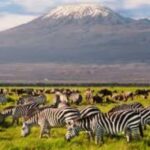 From Nairobi: 2-Day group joining Amboseli National Park - What’s Included and What to Keep in Mind
