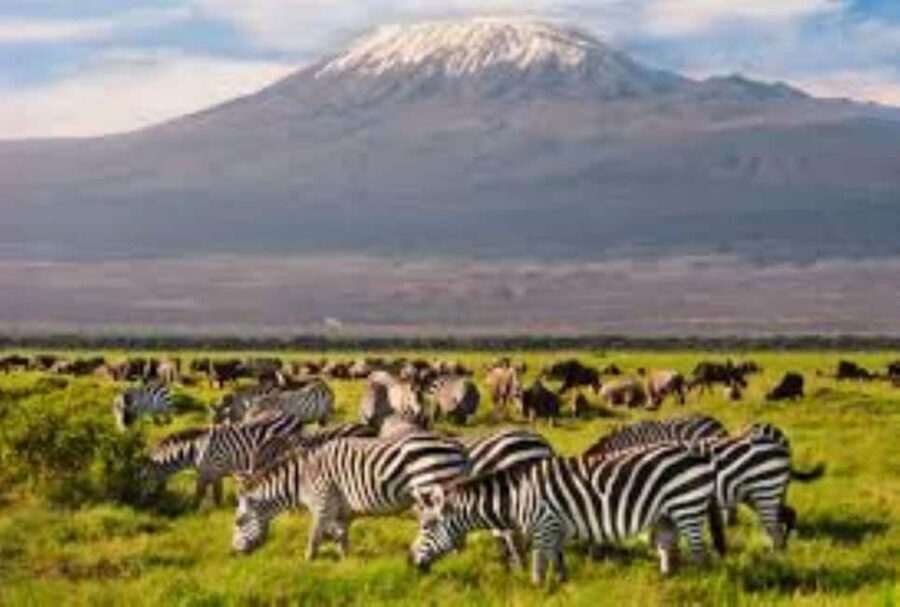 From Nairobi: 2-Day group joining Amboseli National Park - What’s Included and What to Keep in Mind