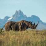From Nairobi: 2-Day Tsavo East and West National Park Safari - What’s Included and What’s Not