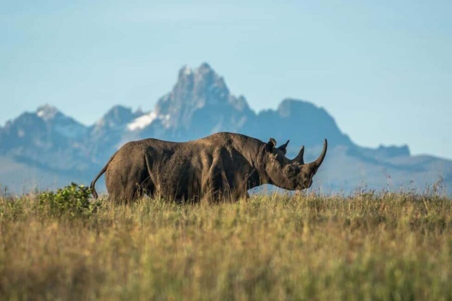 From Nairobi: 2-Day Tsavo East and West National Park Safari - What’s Included and What’s Not