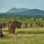 From Nairobi: 3-Day Tour to Samburu National Reserve - Authentic Experiences and Unique Highlights