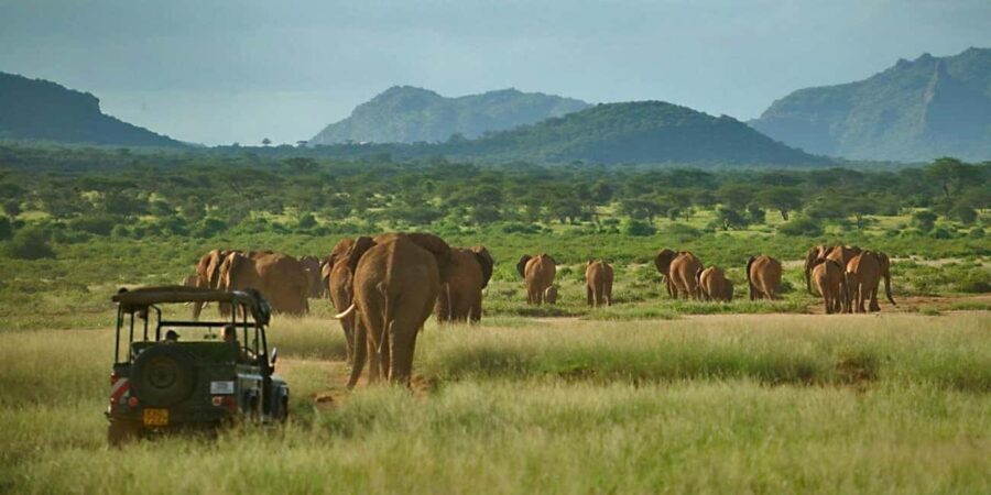 From Nairobi: 3-Day Tour to Samburu National Reserve - Authentic Experiences and Unique Highlights