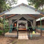 From Nairobi: 3 Days 2 Nights Masai Mara Group Safari - What’s Included & What’s Not