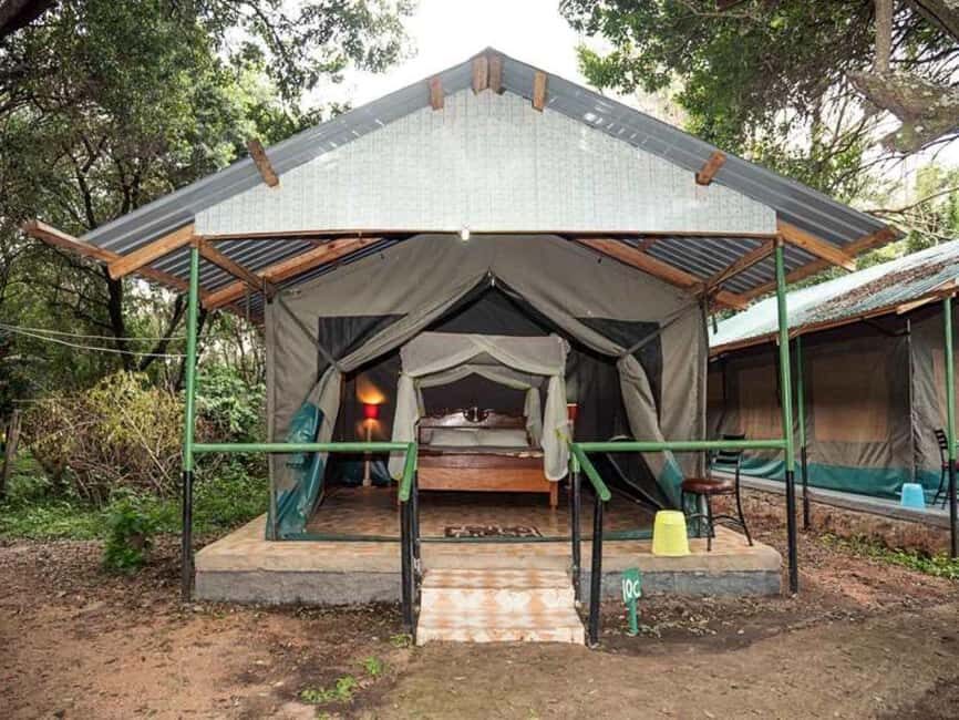 From Nairobi: 3 Days 2 Nights Masai Mara Group Safari - What’s Included & What’s Not