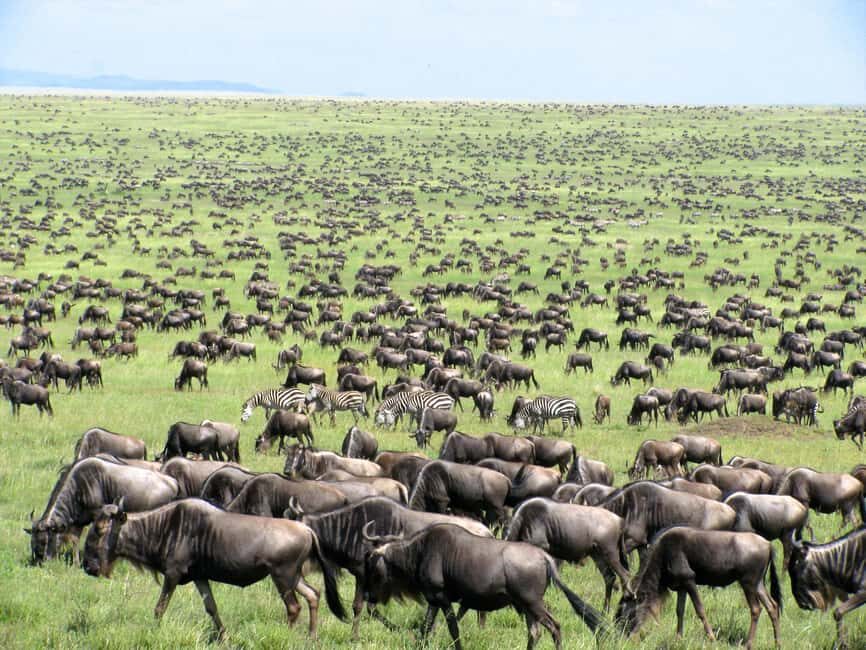 From Nairobi: 3-Days Masai Mara Camping Safari on a 4x4 Jeep - Discovering the Itinerary in Detail
