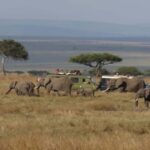 From Nairobi: 4-Day Amboseli and Tsavo Safari with Lodging - What Travelers Love Most