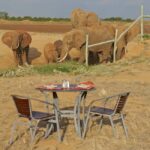 From Nairobi: 4-Day Safari to Amboseli Tsavo West & East - What to Expect From the Experience