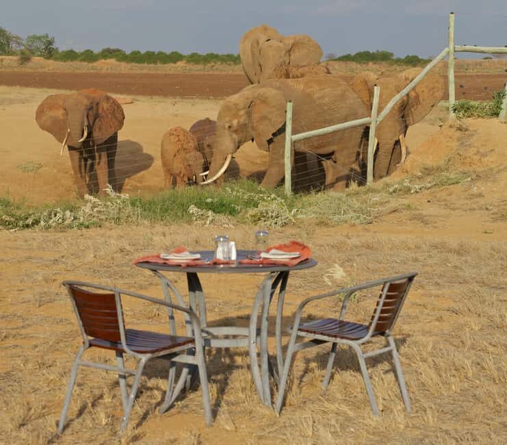 From Nairobi: 4-Day Safari to Amboseli Tsavo West & East - What to Expect From the Experience
