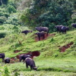 From Nairobi: 5-Day Central Kenya Eco-Tour Experience - Authentic Experiences That Stand Out