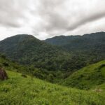 From Nairobi: 7-Day Masai Mara and Bwindi Gorilla Safari - What is Included and What to Budget for Separately