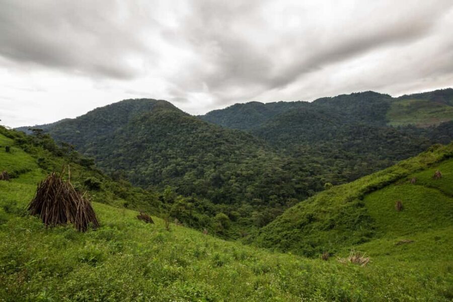 From Nairobi: 7-Day Masai Mara and Bwindi Gorilla Safari - What is Included and What to Budget for Separately