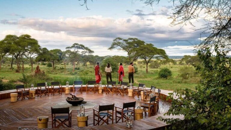 From Nairobi: 9-Day Kenya Safari with Accommodation - Introduction: What You Can Expect from the 9-Day Kenya Safari